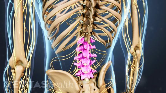 5 Ways Motion Causes Low Back Pain Psjc